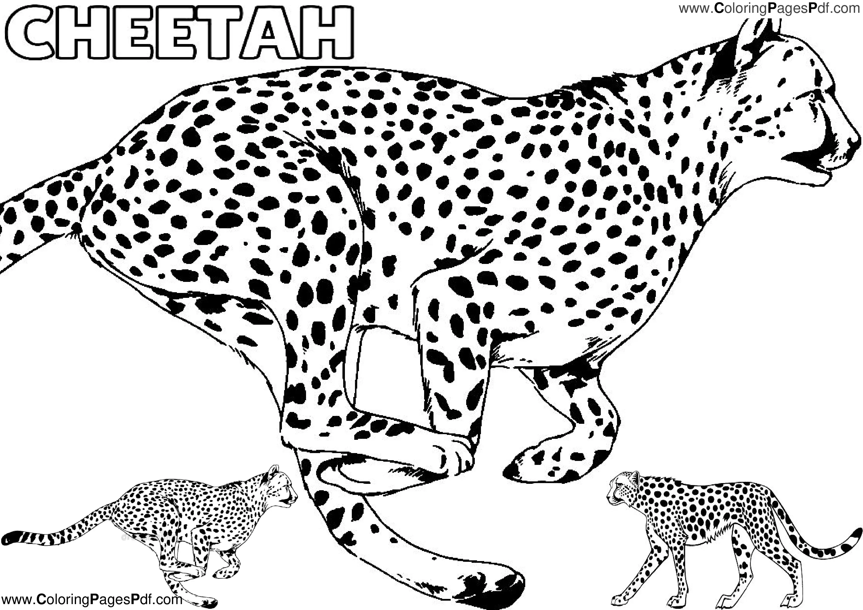 Best cheetah coloring pages