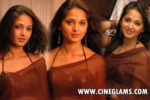Anushka shetty unseen saree stills at rendu movie
