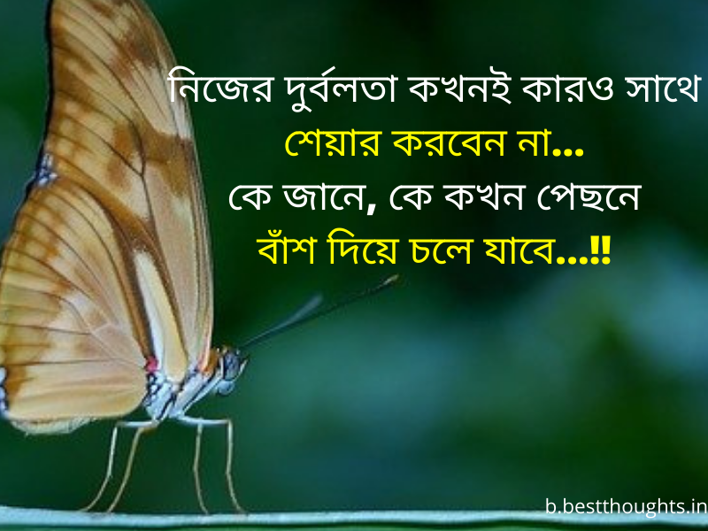 bengali quotes on life