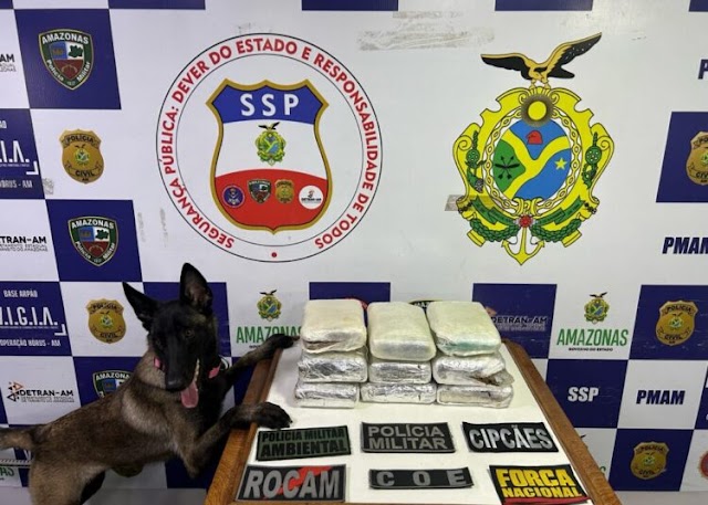 Base Arpão 1: Trio é preso com mais de 11 kg de skunk em embarcação