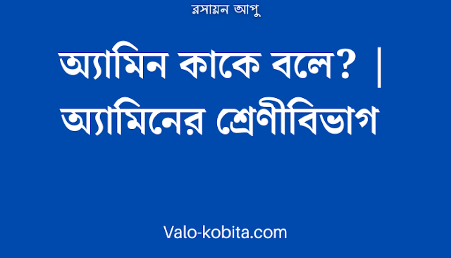 অ্যামিন কাকে বলে? | অ্যামিনের শ্রেণীবিভাগ