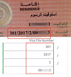 UAE Visa Fine | How to Check Overstay Fine in UAE 2023