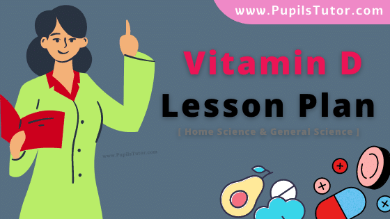 Vitamin D Lesson Plan For B.Ed, DE.L.ED, M.Ed 1st 2nd Year And Class 9th, 10th And 11th Home Science Teacher Free Download PDF On School Teaching Skill In English Medium. - www.pupilstutor.com