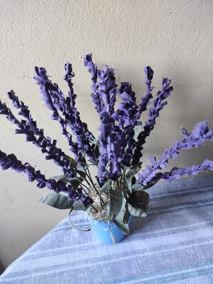 Lavanda.