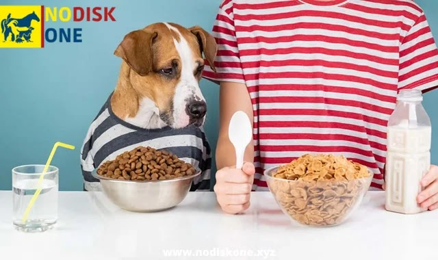 Healthiest Human Food For Dogs