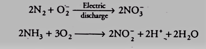 Physical Nitrogen-Fixation