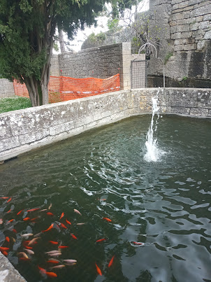 A Koi fish pond well in San Marino City.