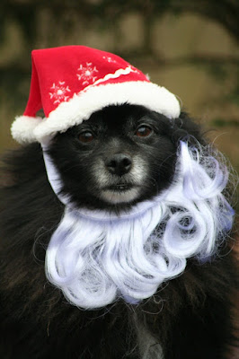 petco photos with santa