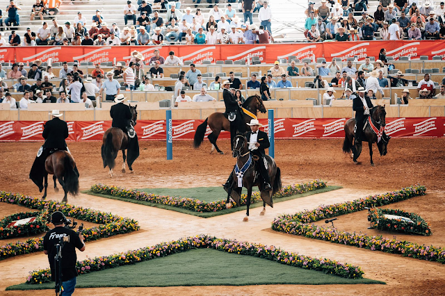 Pereira se convertirá en una gran pista en la versión 40 de la Exposición Nacional Equina