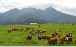 Sejarah Pertanian dan Peternakan Sebagai Pekerjan Paling Tua Di Dunia, Siapa penemu pertanian pertama kali?, Siapa Petani Pertama di Dunia?