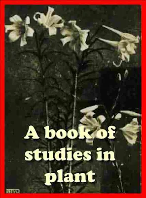 A book of studies in plant