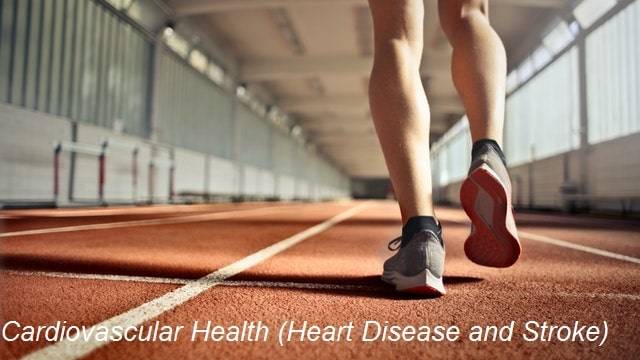 Cardiovascular Health (Heart Disease and Stroke)