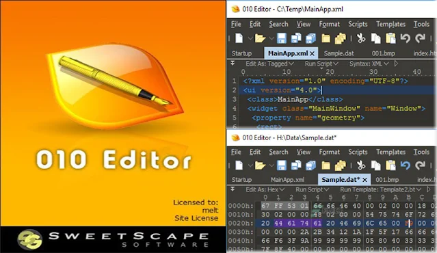 SweetScape 010 Editor 12.0.1 Win  Mac Linux Edit HEX and TEXT files Free Download