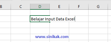 CARA INPUT DATA EXCEL