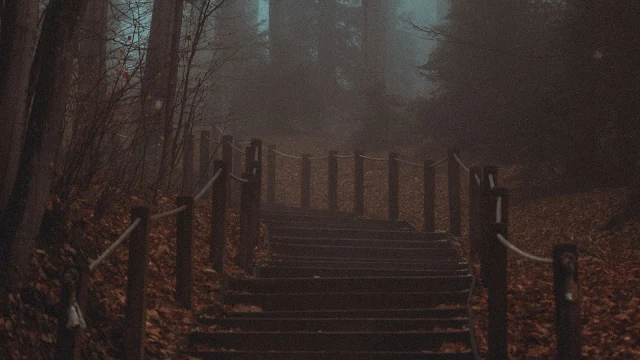 Wallpaper Autumn, Forest, Stairs, Haze, Fog