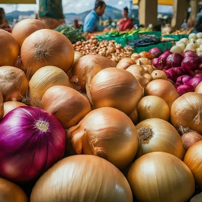 Iranian Onion Imports Fail to Ease Price Burden in Pakistan's Consumer Market