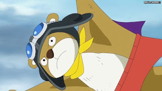 ワンピースアニメ ゾウ編 775話 ミンク族 ムサトビ Musatobi CV.日比愛子 | ONE PIECE Episode 775