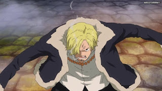 ワンピースアニメ ゾウ編 763話 サンジ Vinsmoke Sanji | ONE PIECE Episode 763