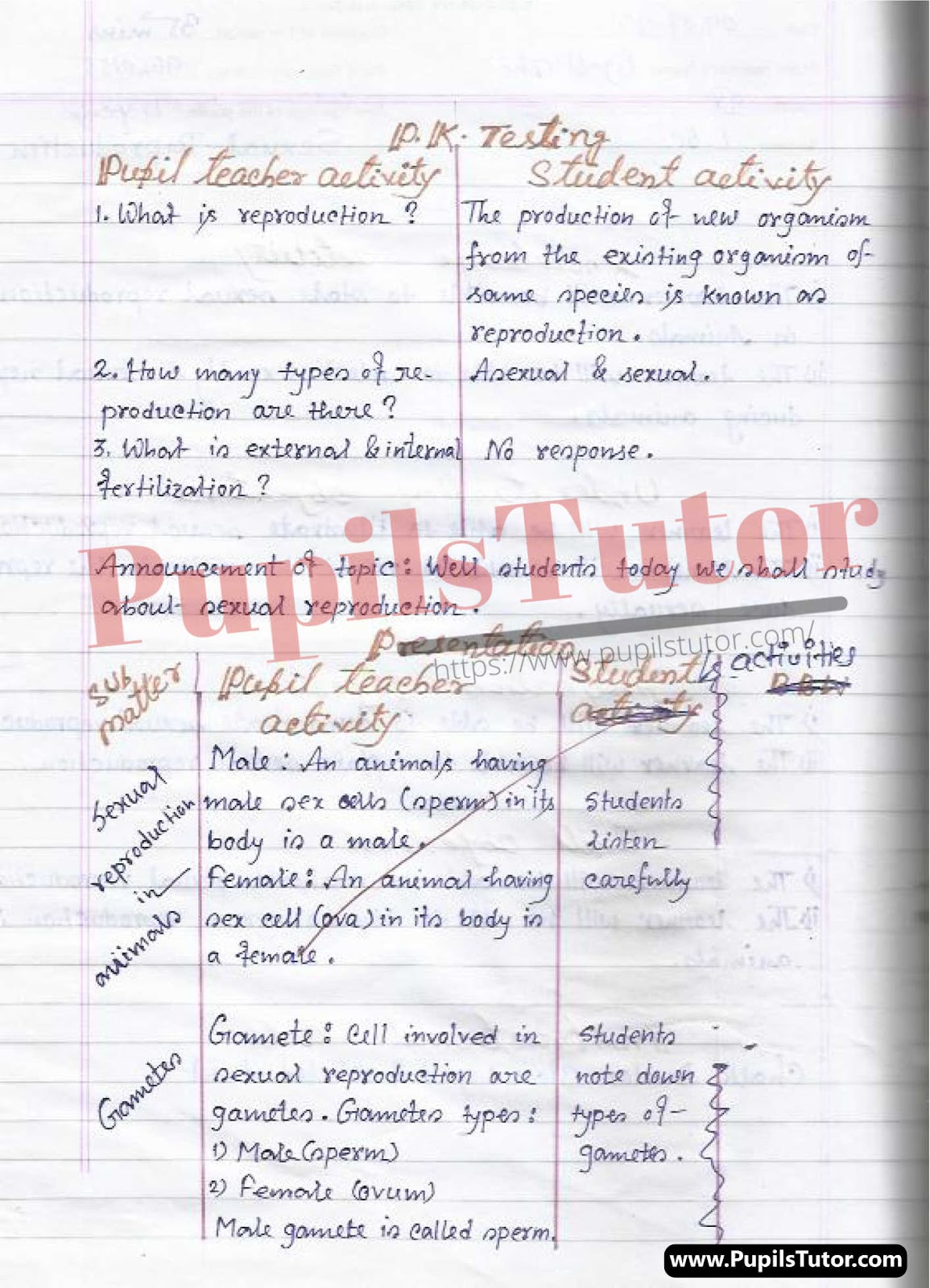 Macro Teaching  Fertilization In Animals Lesson Plan For B.Ed And D.el.ed In English Medium Free Download PDF And PPT (Power Point Presentation And Slides) – (Page And Image Number 2) – PupilsTutor