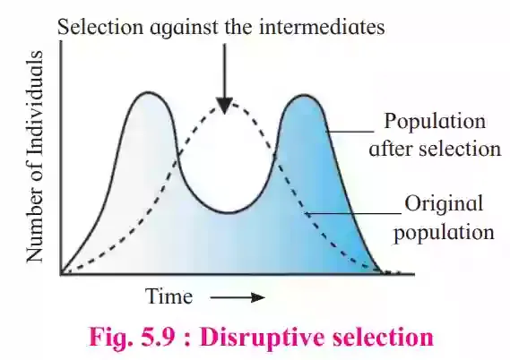 Origin and Evolution of Life [ Exercise,Solutions,Notes ]