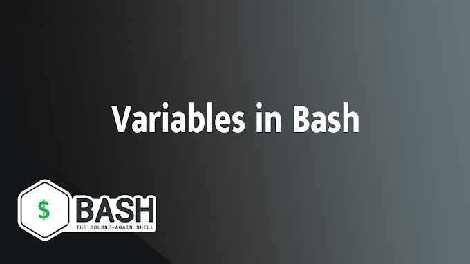 Variables in Bash