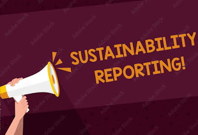 Business Responsibility Report and Sustainability Reporting