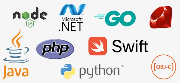 top 5 programming language for backend web development