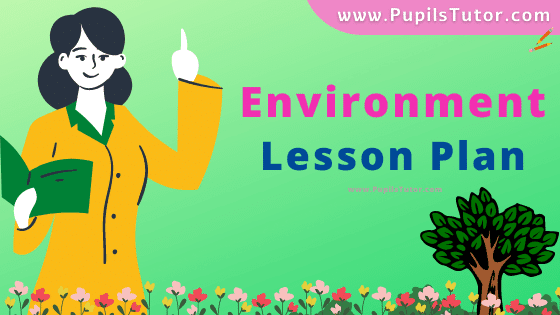 Environment Lesson Plan For B.Ed, DE.L.ED, BTC, M.Ed 1st 2nd Year And Class 7th Social Science And Environmental Studies Teacher Free Download PDF On Real Teaching Skill In English Medium. - www.pupilstutor.com