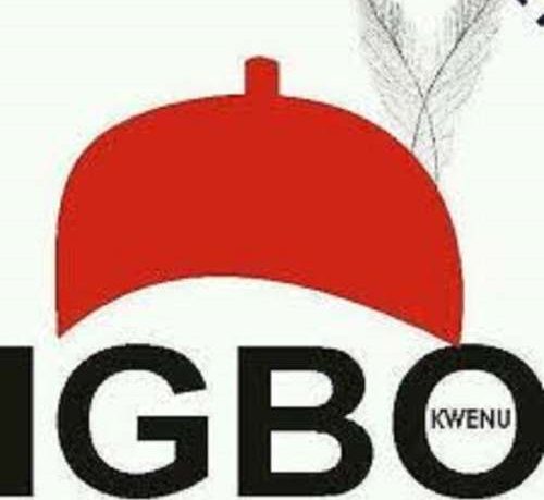 2023: No Igbo man should run for vice president – S/East group