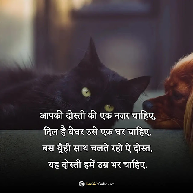 friendship dosti shayari hindi photos and wallpaper, good morning dosti shayari, best friend shayari image, best friend shayari pic, funny dosti shayari images, good night image shayari dosti download, friendship dp shayari, shayari in hindi dosti yaad download image, dosti me dhoka shayari image download, dosti sad shayari image download