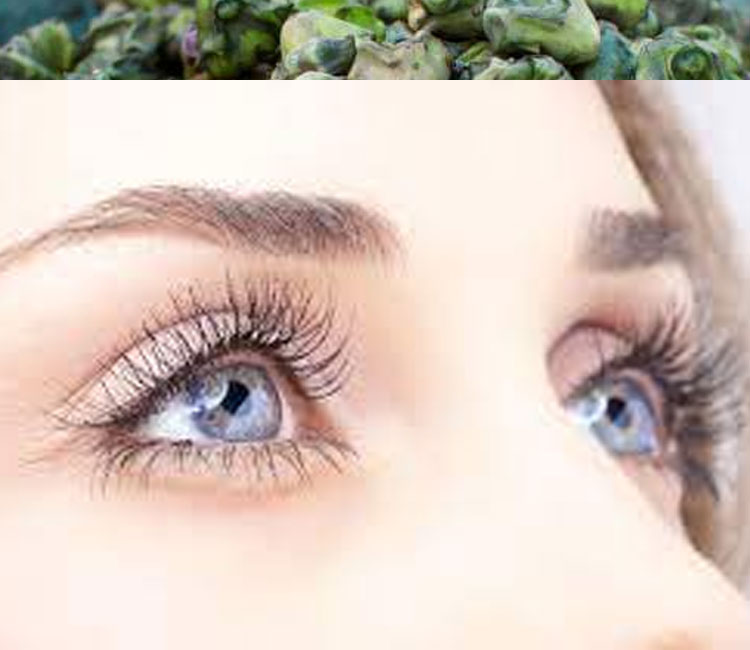Benefits of Singhara fruit for Eyes