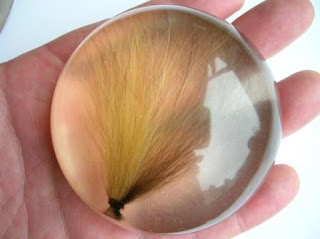 Pet hair paperweight