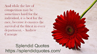 Andrew Carnegie
