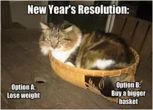 Funny new year resolutions