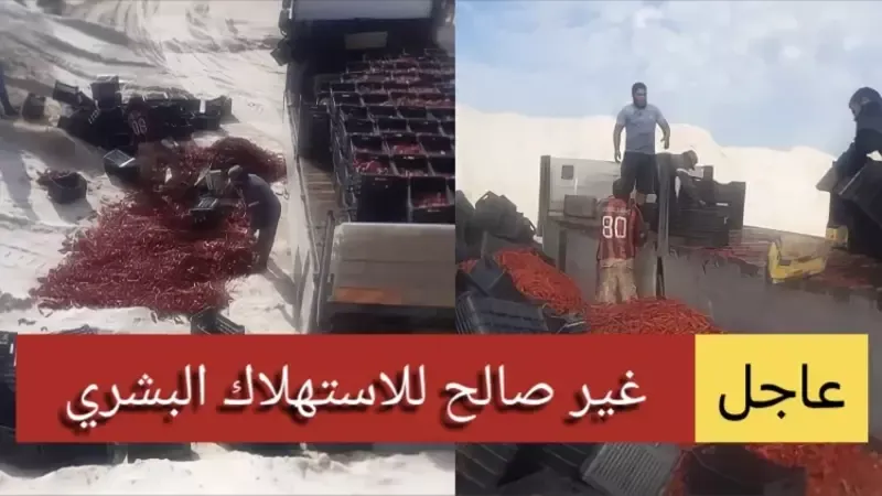 عاجل الحكومة الليبية تتلف شحنة من الفلفل التونسي