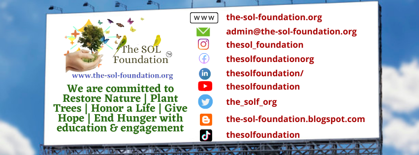 The SOL Foundation ™