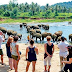 Sri Lanka logs over 150,000 international tourist arrivals in 2021