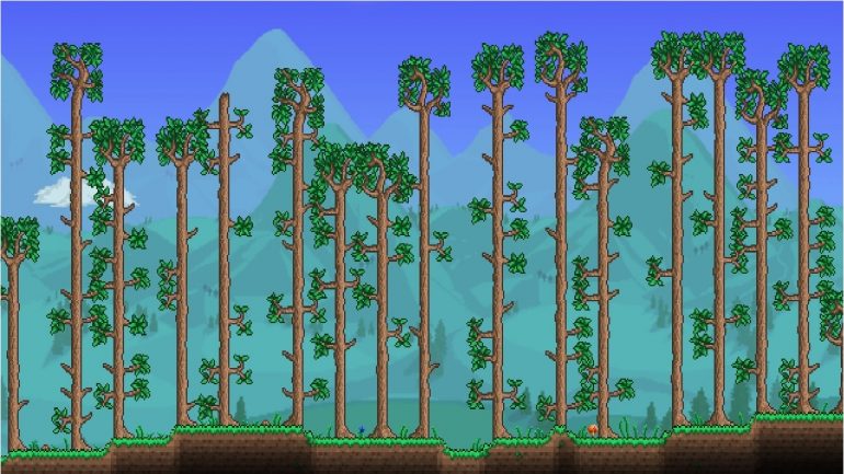 Trees that can be felled in the Forest Biome in Terraria