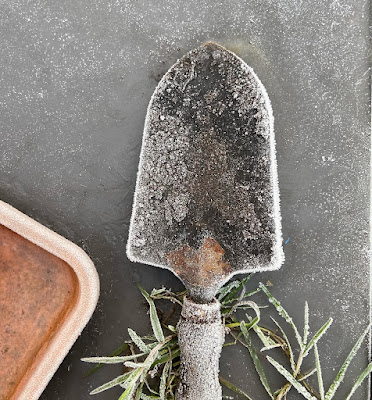 A frosty old garden trowel lying on a frosty glass table.