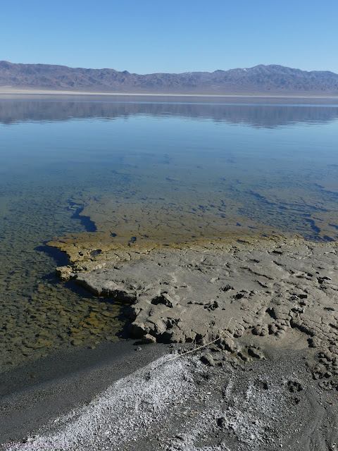 23: flat of much sitting higher in the water