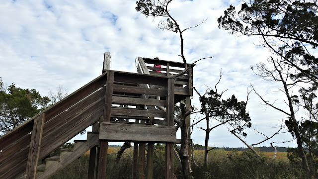 Stokes Landing Conservation Area