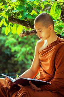 Monk Studying