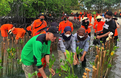 HUT Basarnas Ke-50, Kansar Tanjung Pinang Tanam Mangrove