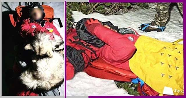 شاهد بالصور/ كلب ينقذ صاحبه بعد ان سقط وسط الثلوج مستلقيا عليه لـ13 ساعة لتدفئته !