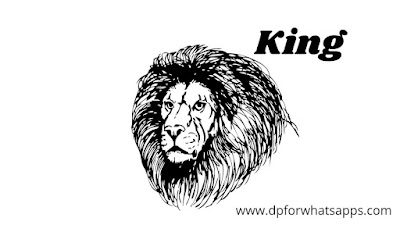 King DP | King Image | King Photo | King Wallpaper