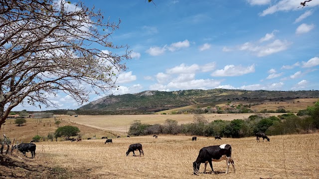  Você conhece a região oeste de Bom Conselho?