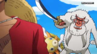 ワンピースアニメ 893話 ワノ国編 | ONE PIECE