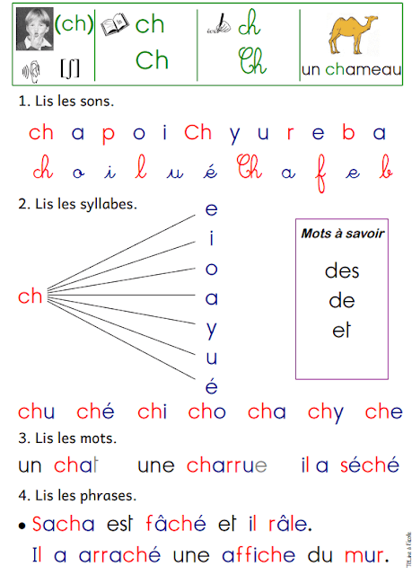 كتابي الأول في اللغة الفرنسية لتعلم القراءة