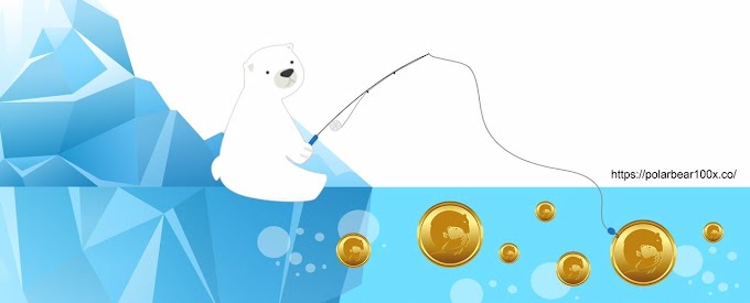 Join #PolarBear100x Launchpad Sales Session To Hook Up Your PBX for gain big