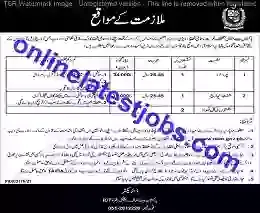 Government jobs in Rawalpindi Islamabad